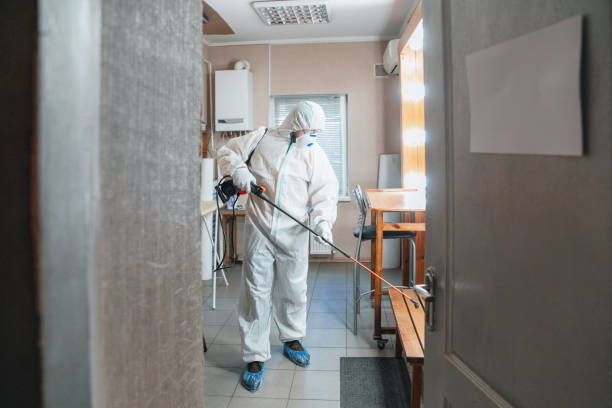  Kings Bay Base, GA Mold Removal Pros